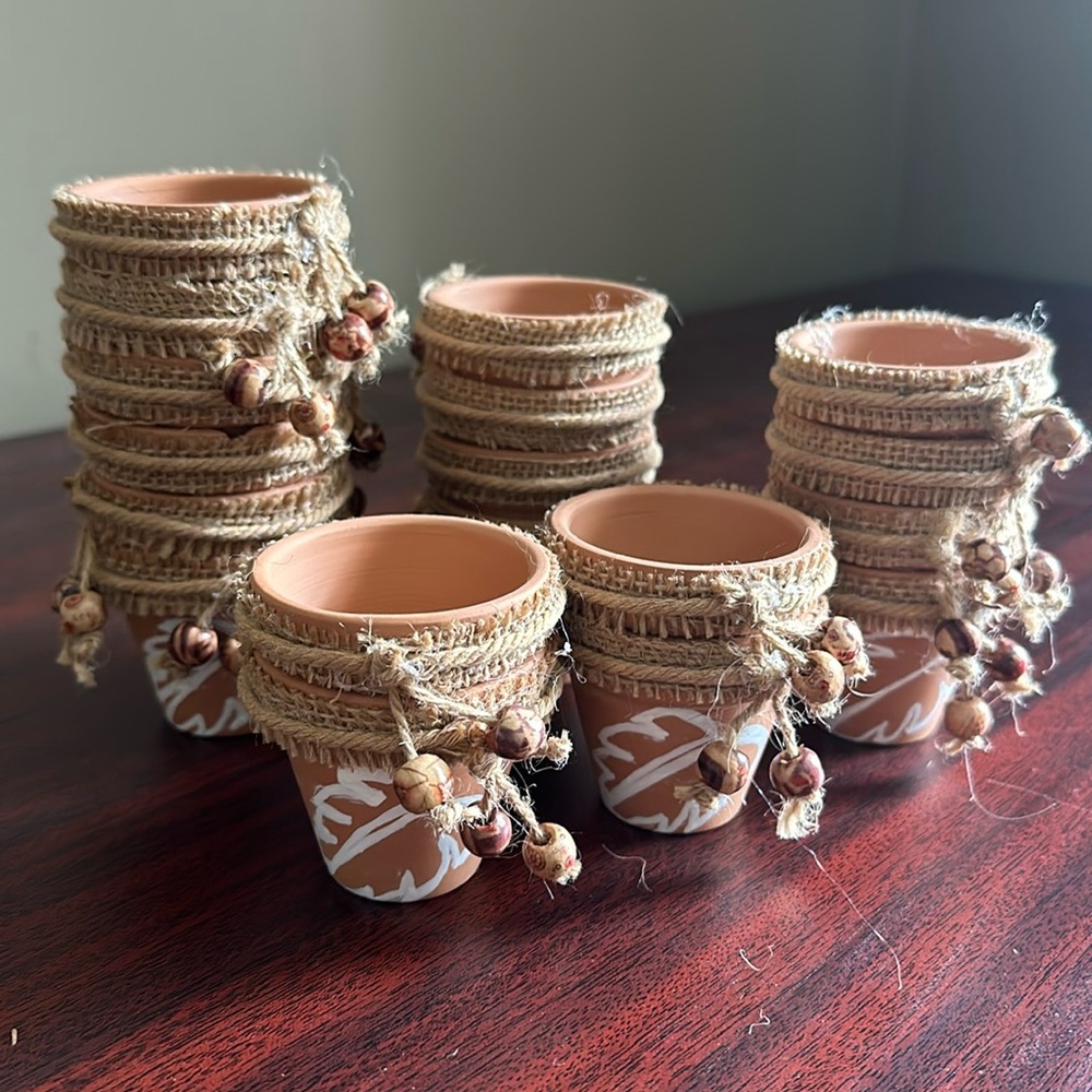 18 Mini Monstera Pots - Picture 1 of 5